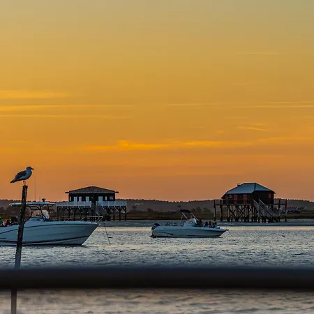Eugenie- * Arcachon